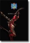 Catalogo archi Bigarchery 2011