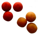 Boiles