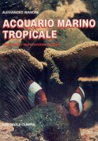 Acquario marino tropicale