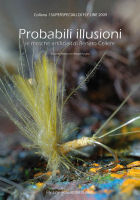 Probabili illusioni